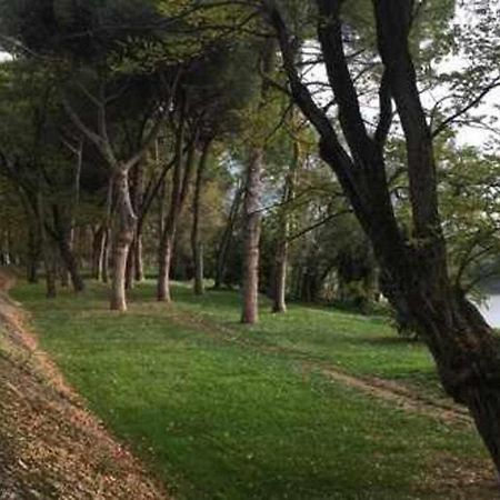 Pisa Appartamento Bonaini Экстерьер фото