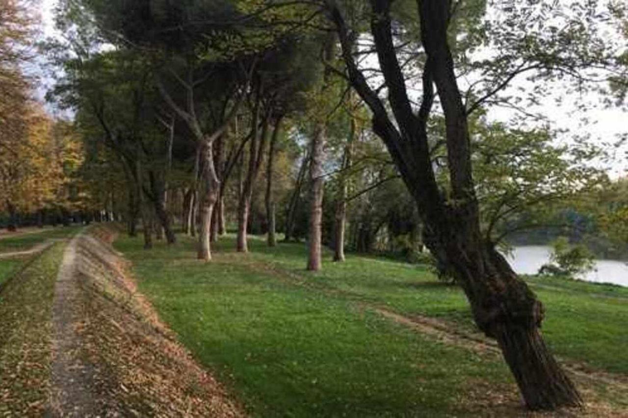 Pisa Appartamento Bonaini Экстерьер фото